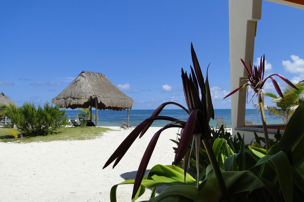 Mayan Beach Garden El Placer Exteriér fotografie